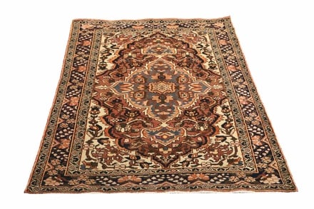 BAKHTIAR Teppich 220x137 - alternate view