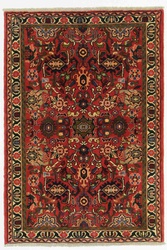 Nanaj 157x107