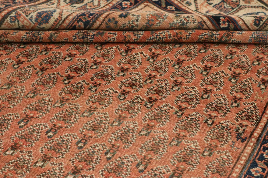 Malayer 313x160